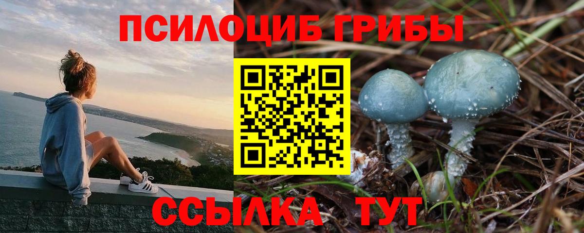 Галлюциногенные грибы прущие грибы  сколько стоит  Рыбинск  Вход с VPN 